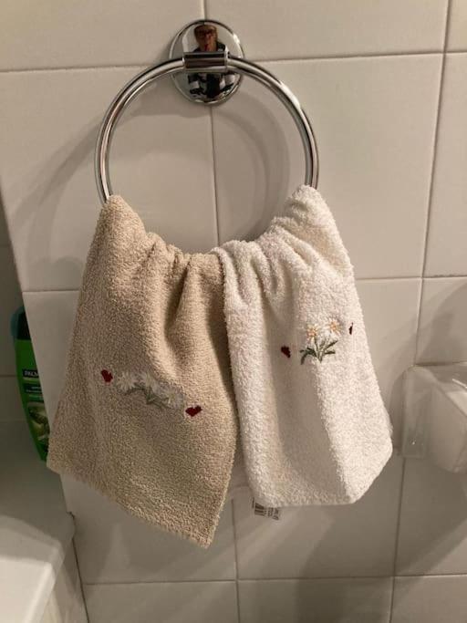 Appartamento Ampio Giardino Adiacente Piste Sci 4/6 Posti Letto La Thuile Zewnętrze zdjęcie